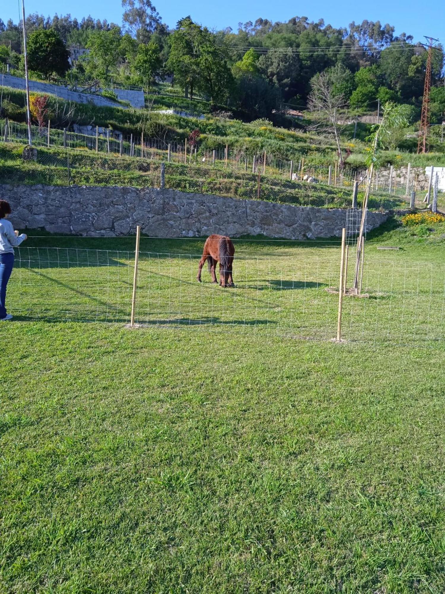 Quinta Dos Campos - 2
