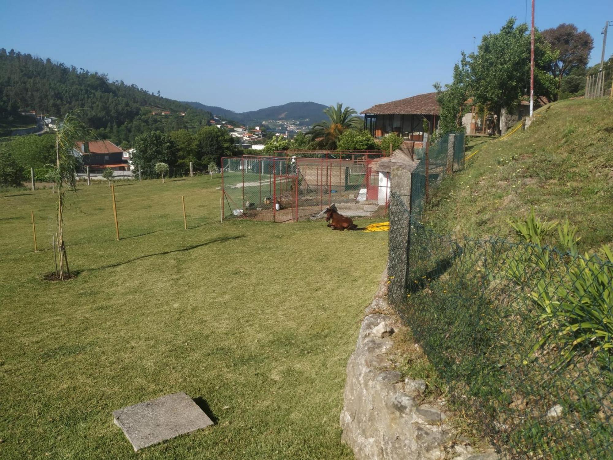 Quinta Dos Campos - 2